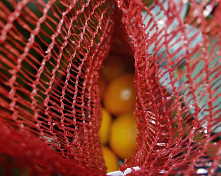 Looking into a bag of oranges