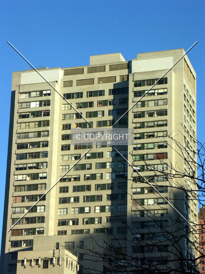 View from the west