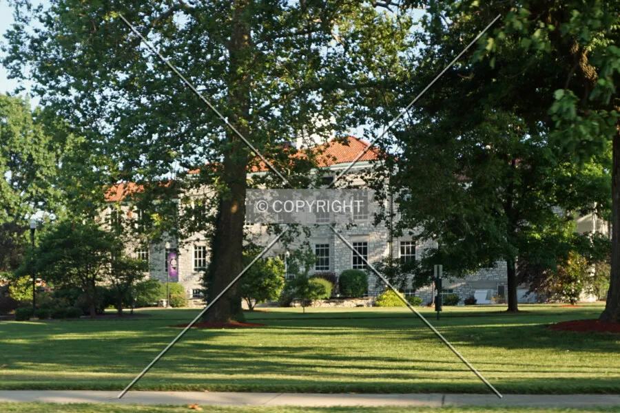 Photo 482-318-853