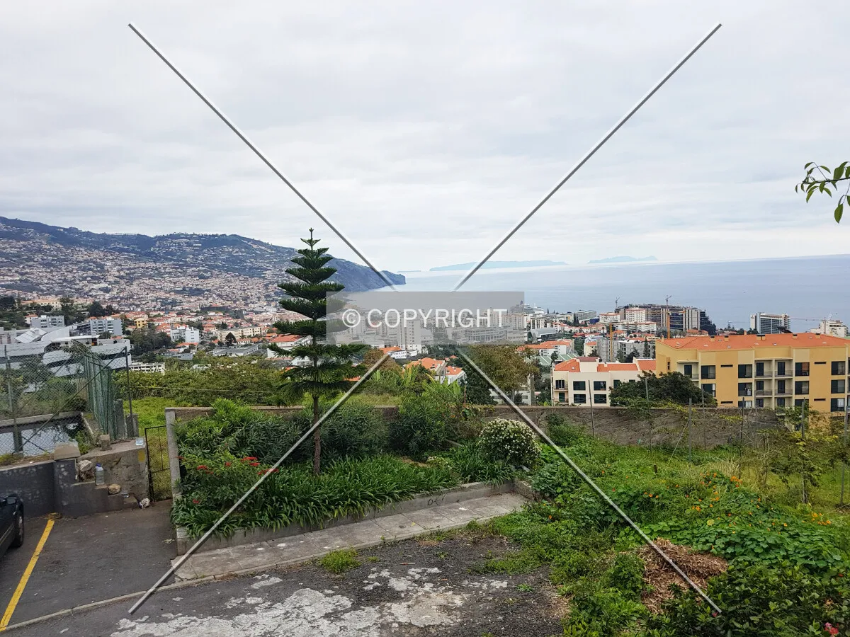 View over Funchal