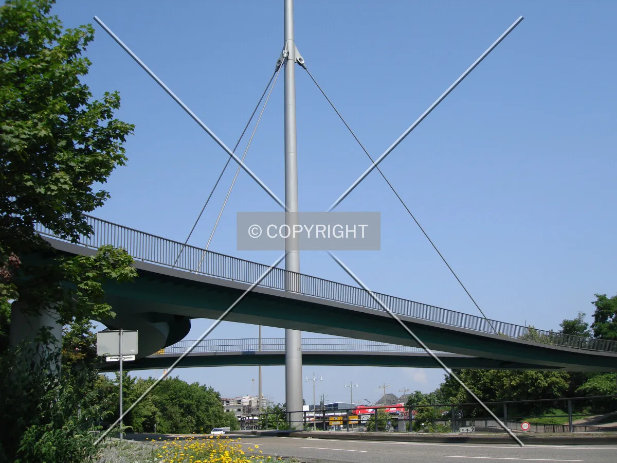 Photo 482-491-334