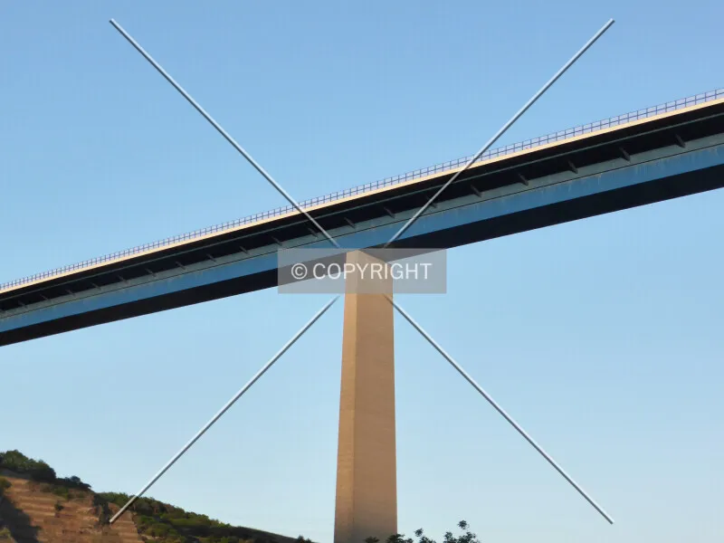 Photo 482-564-485
