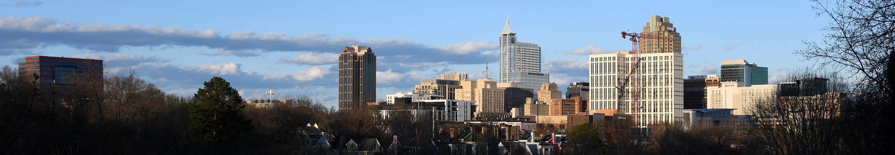 Panorama of Raleigh