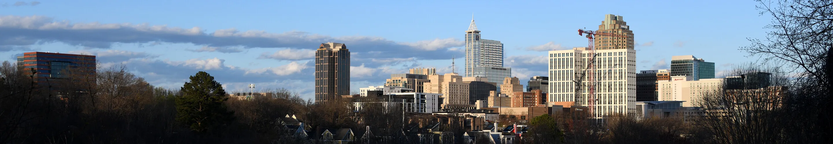 Panorama of Raleigh