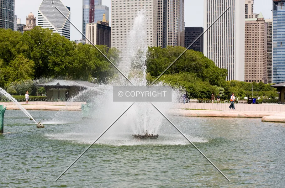 Photo 483-204-982