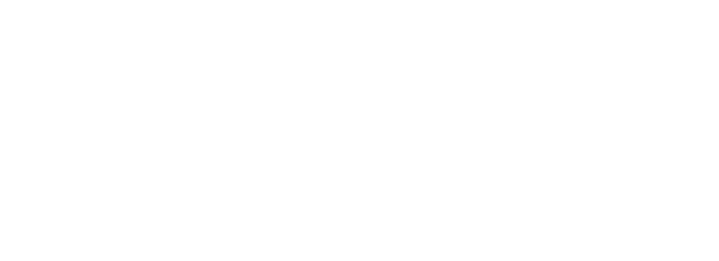 SKYDB Logo in white color