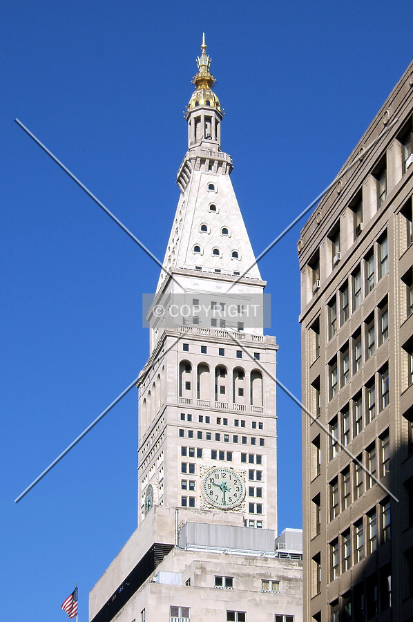 View from the southeast