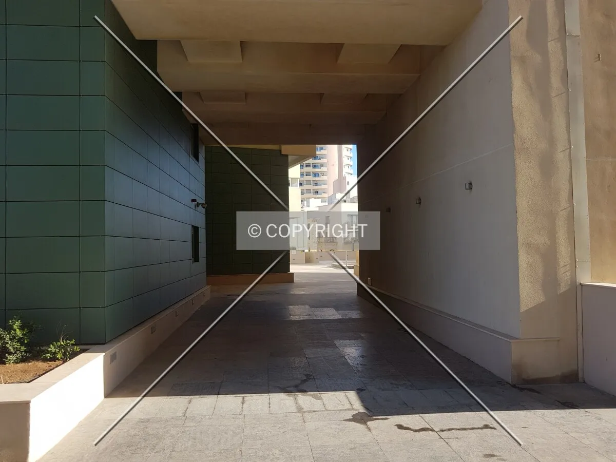Photo 483-709-799