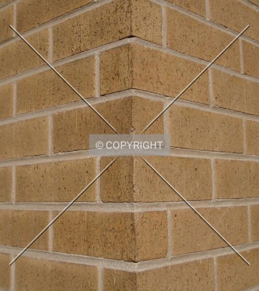 Photo 483-813-341