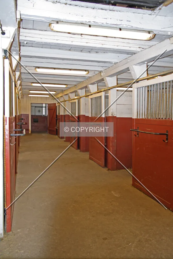 Horse boxes in a stable