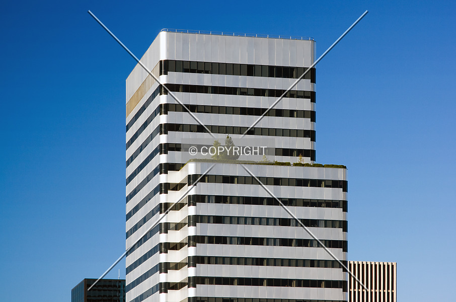 Photo 484-454-665