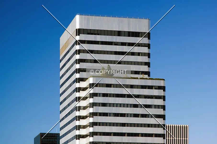 Photo 484-454-665