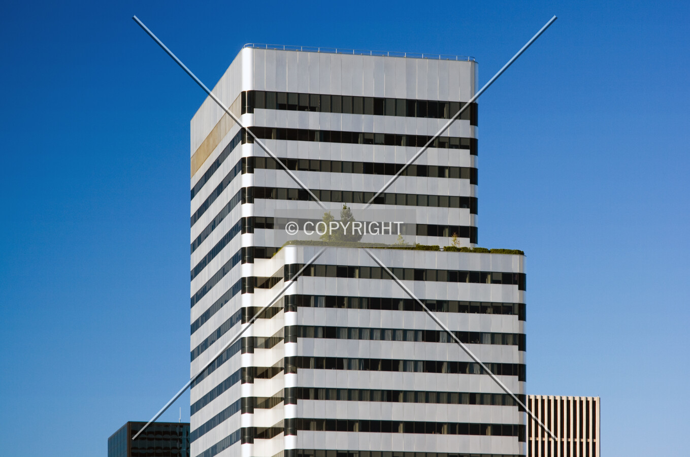 Photo 484-454-665