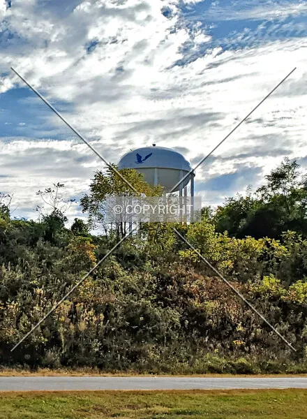 Photo 484-595-142