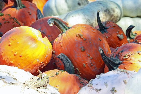 Pumpkins at a farmers market