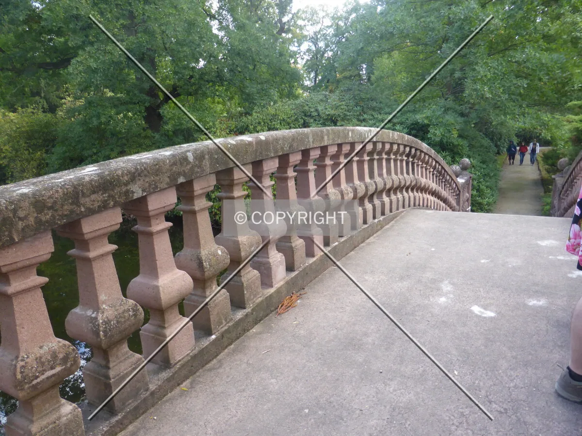 Photo 484-955-244