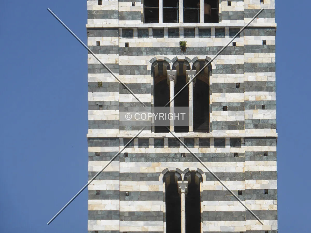 Photo 485-665-062