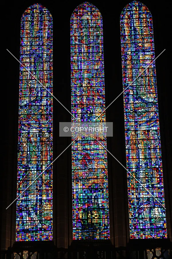 Photo 485-732-946