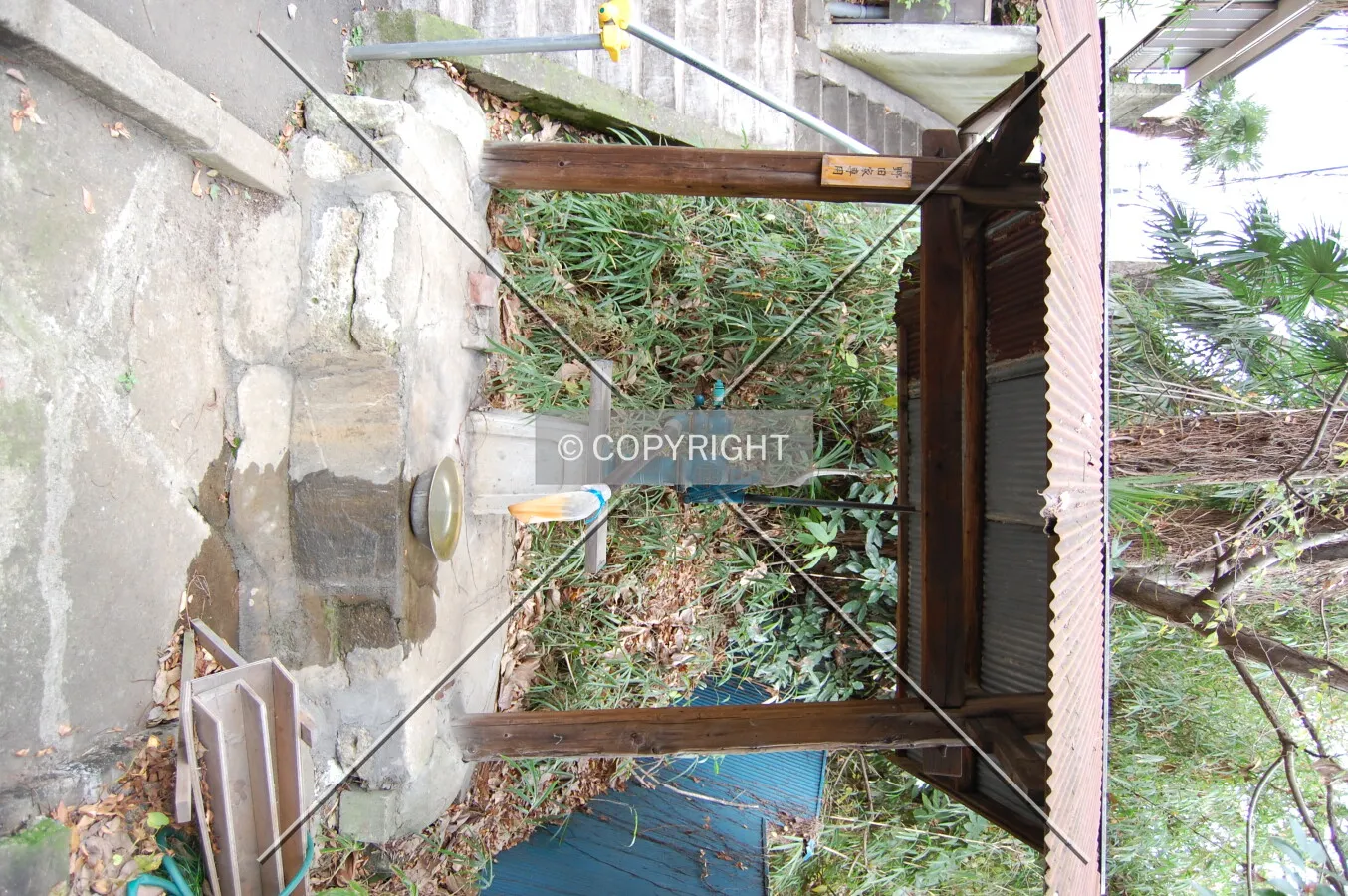 Photo 486-233-356