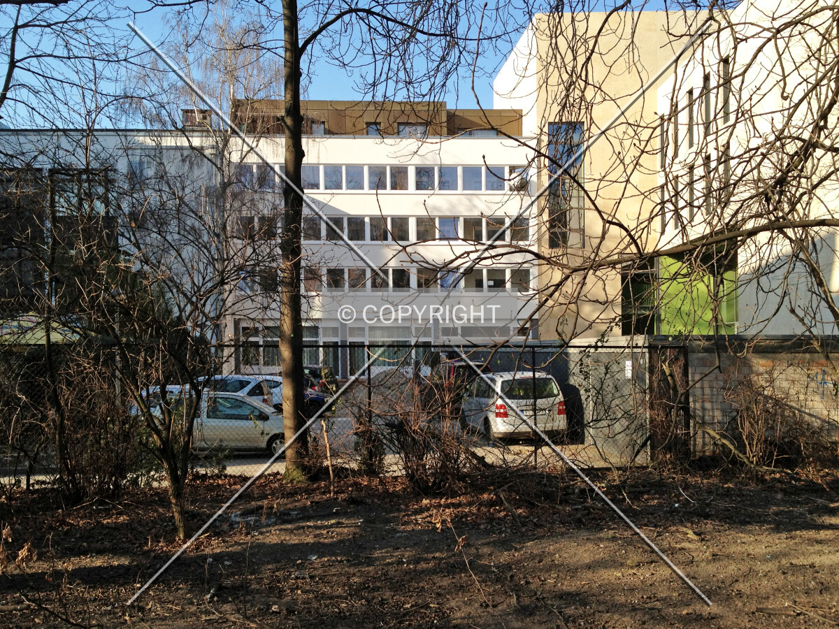 Back side as seen from the park