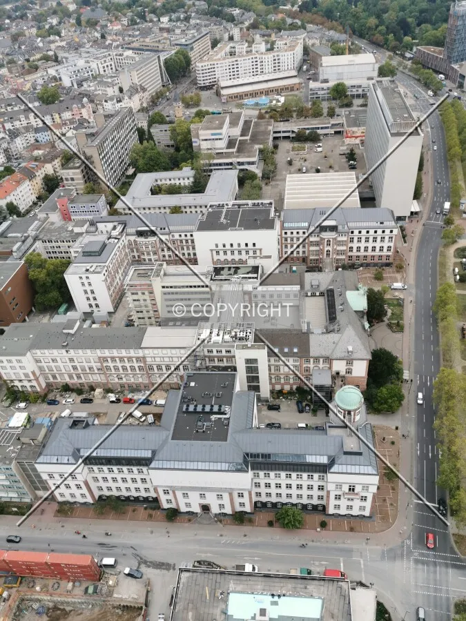 Senckenberg Museum