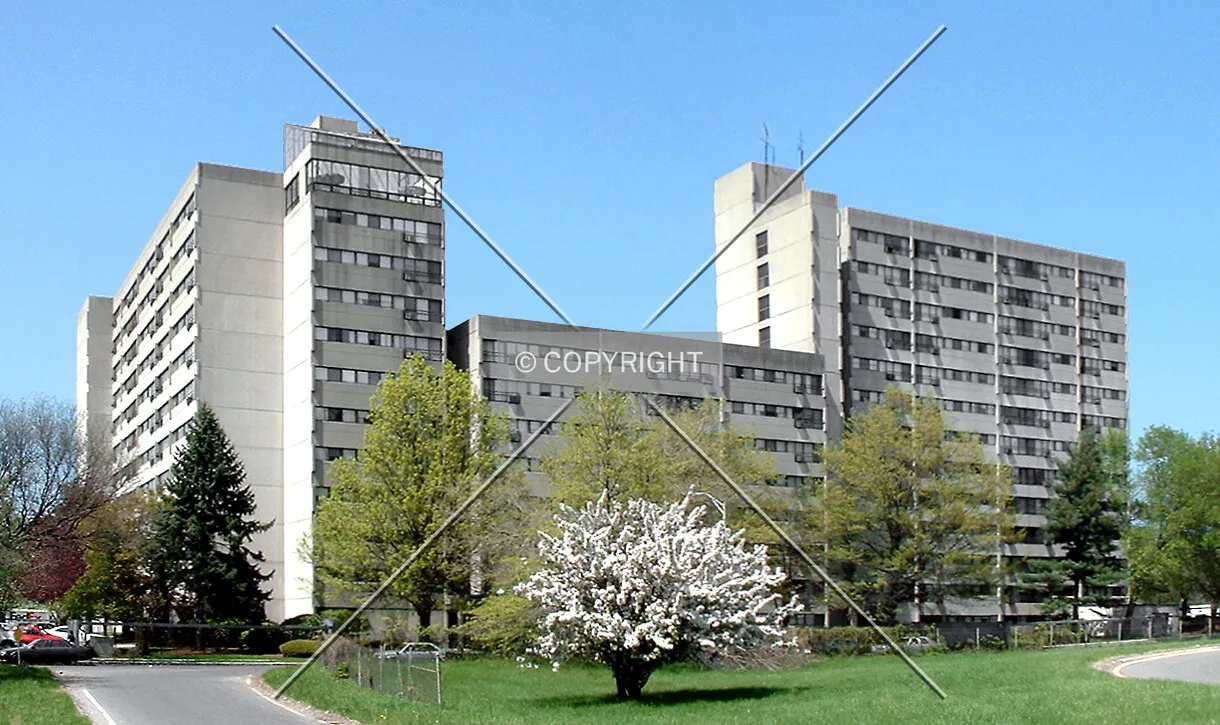 View from the southeast