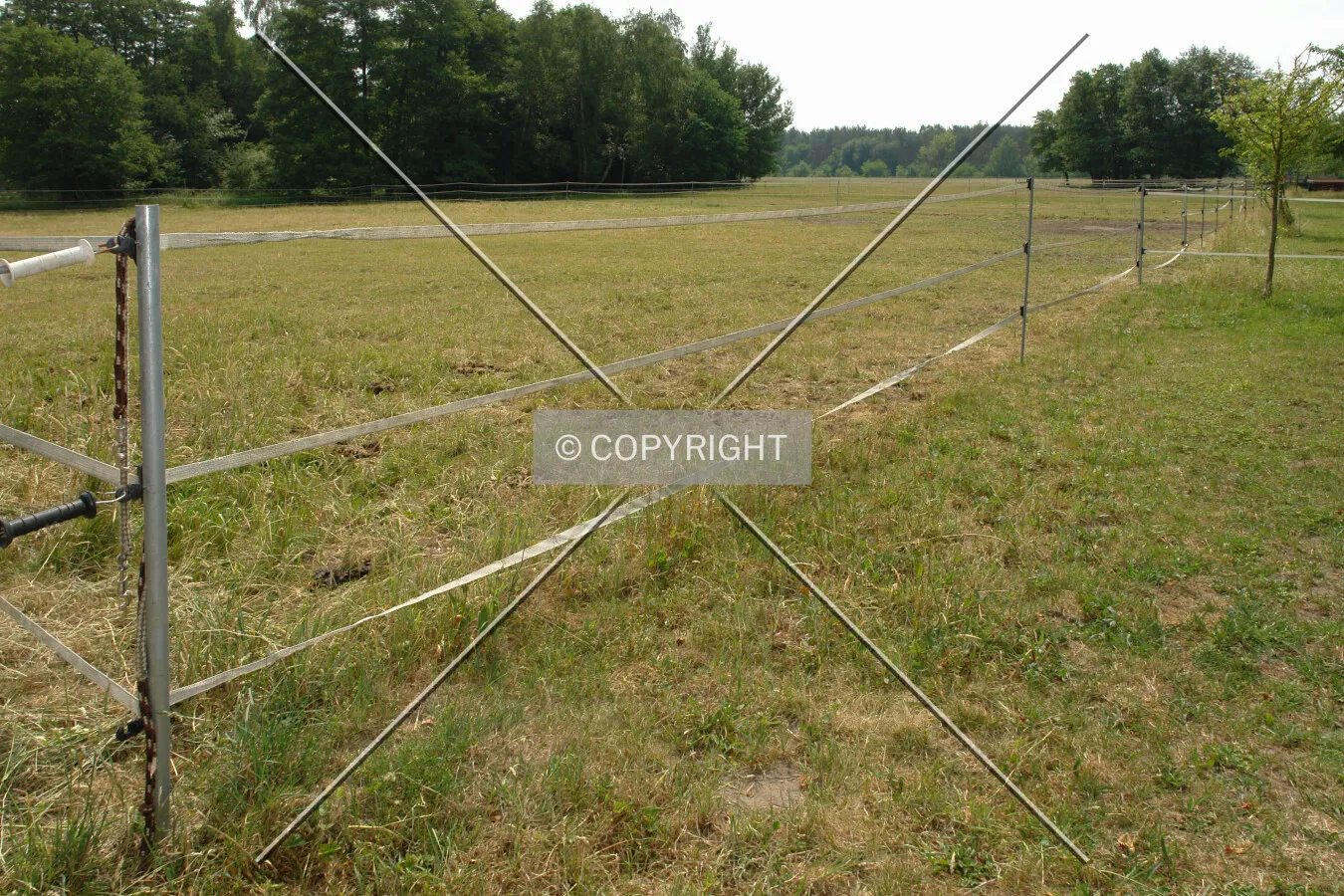 Grassland divided by movable fences