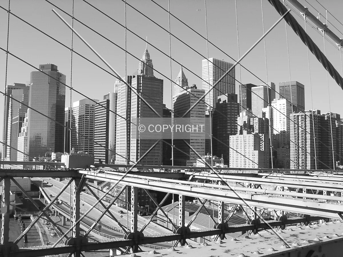 Photo 487-148-320