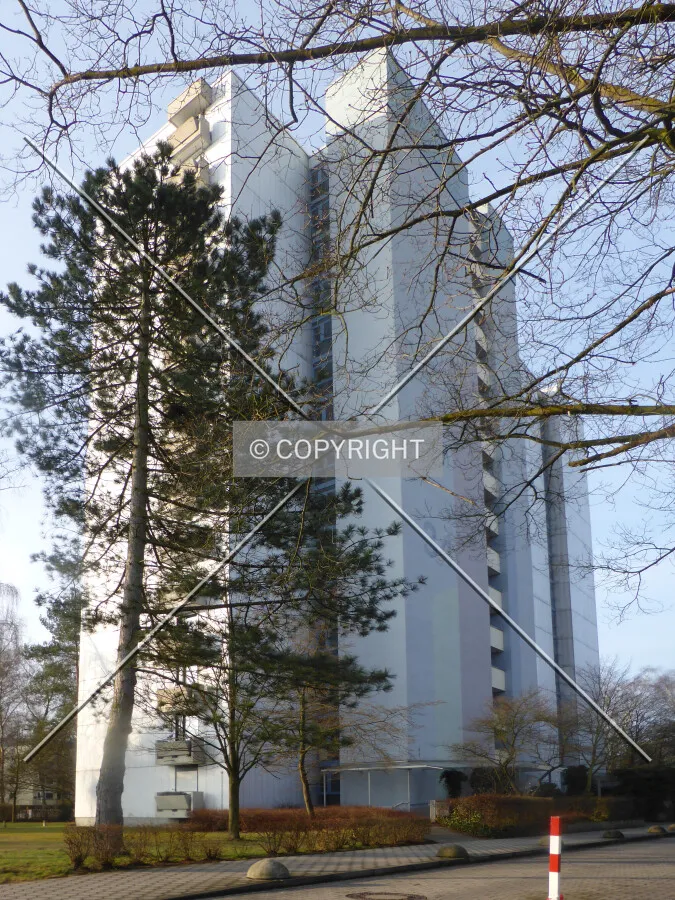 Photo 487-229-793