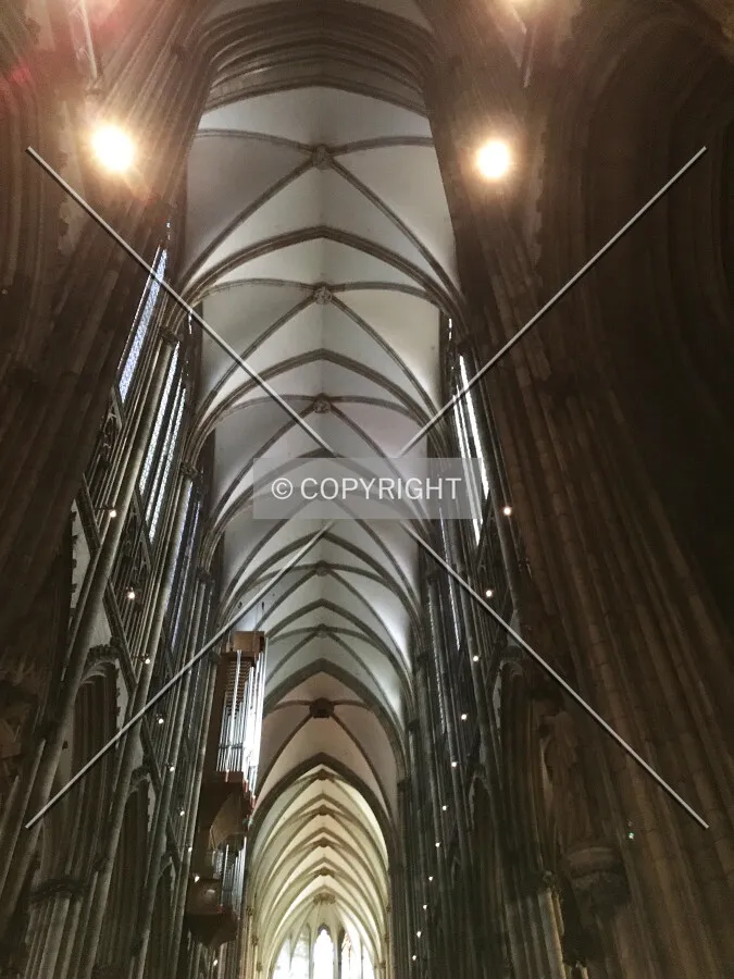 Photo 487-399-867