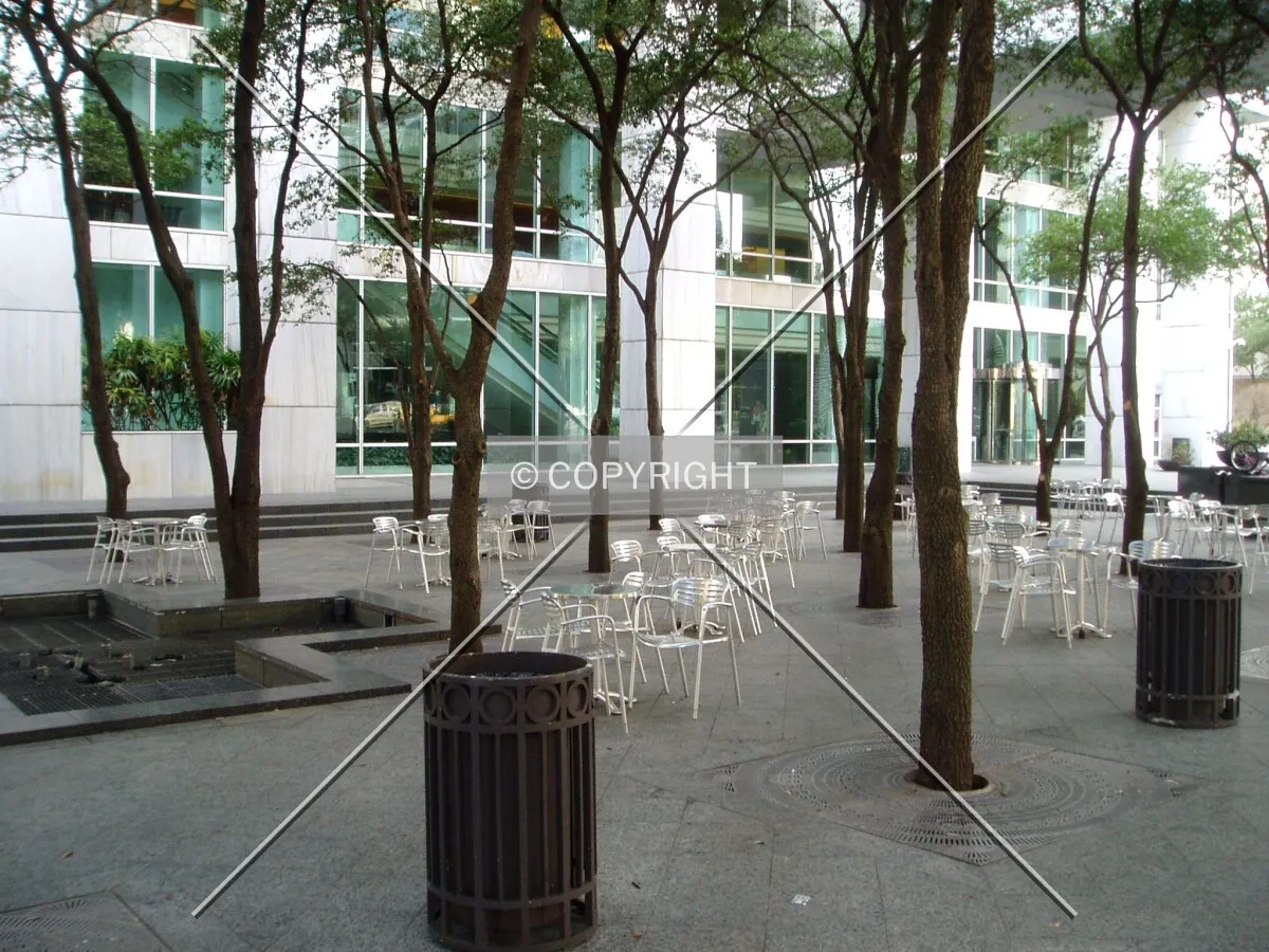 Plaza on the east side of the lot