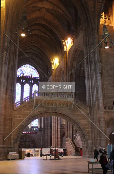 Photo 487-444-542