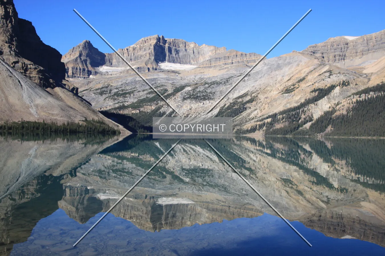 View from along Bow Lake.