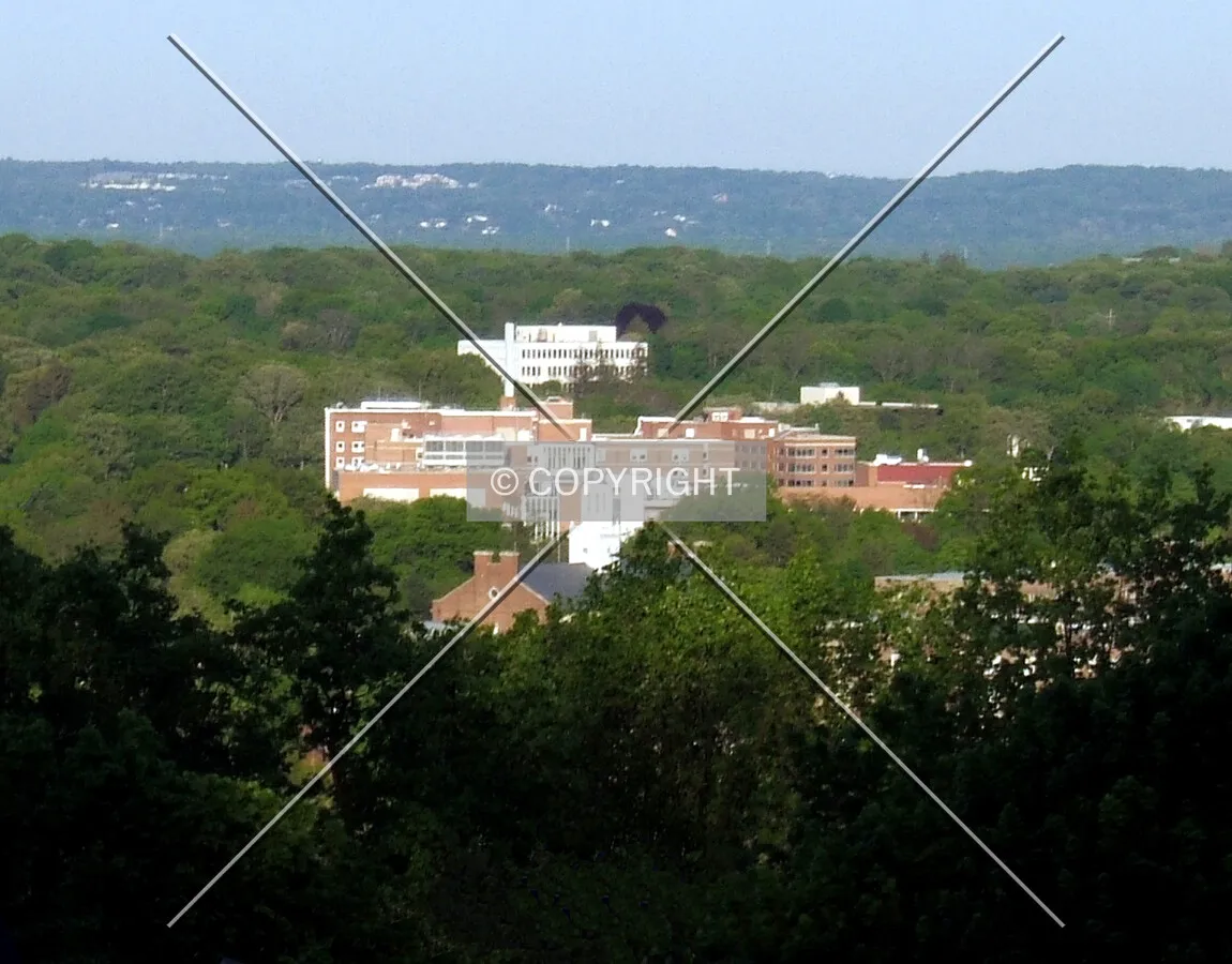 View from the northwest