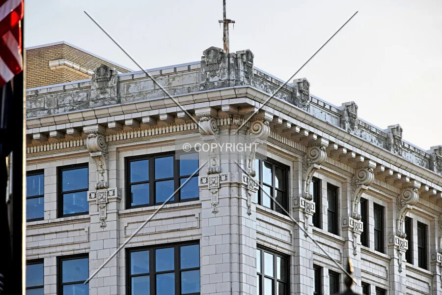 Photo 488-146-249