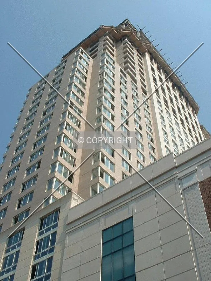 View looking up, 06.29.03