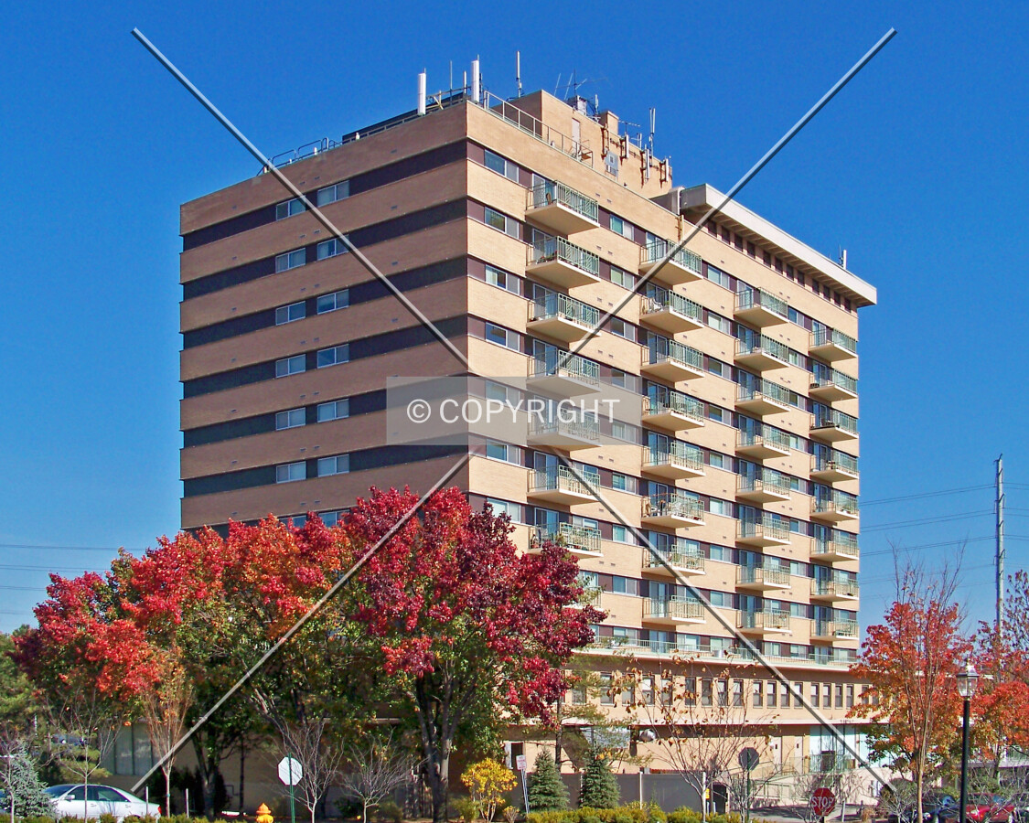 View from the southwest