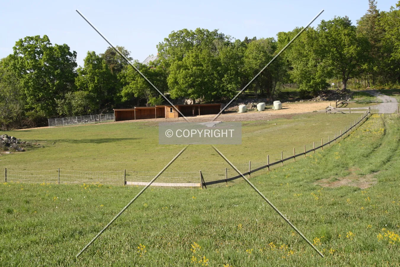 Grazing land for sheep