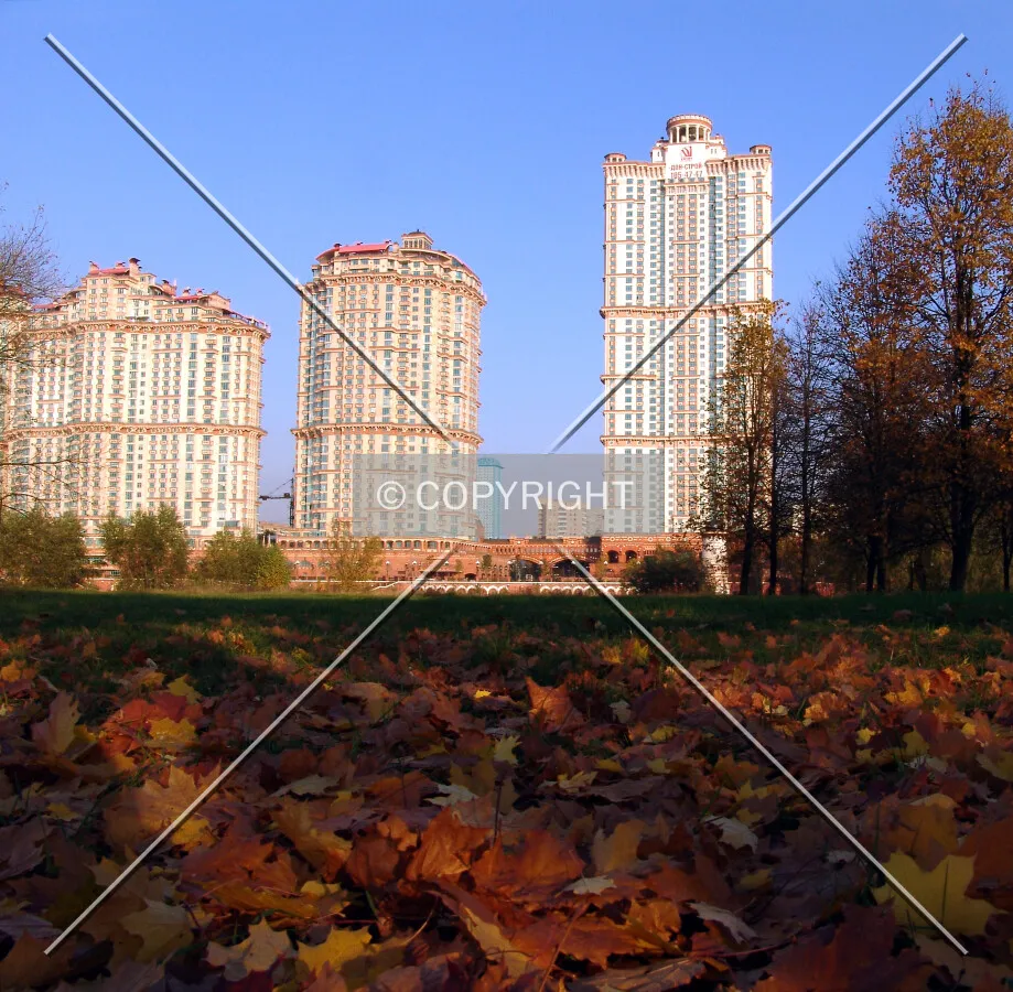 With autumn leaves carpet