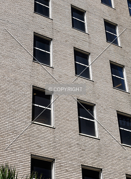 Photo 488-659-234