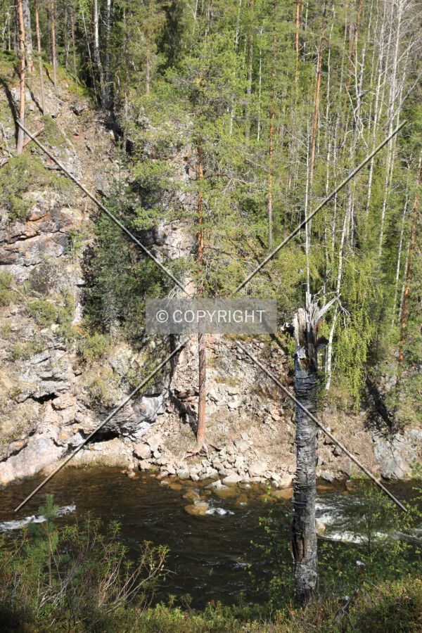 Oulanka National Park