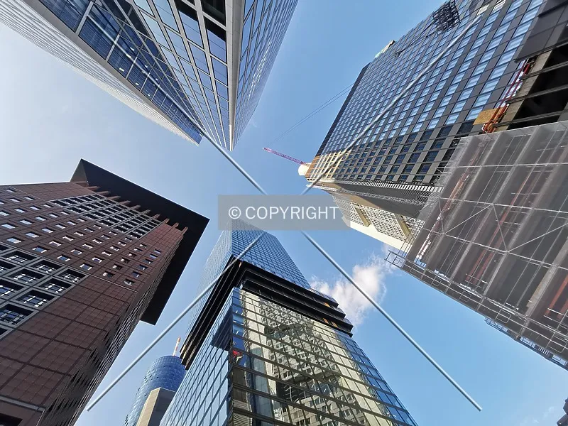 Photo 489-169-471