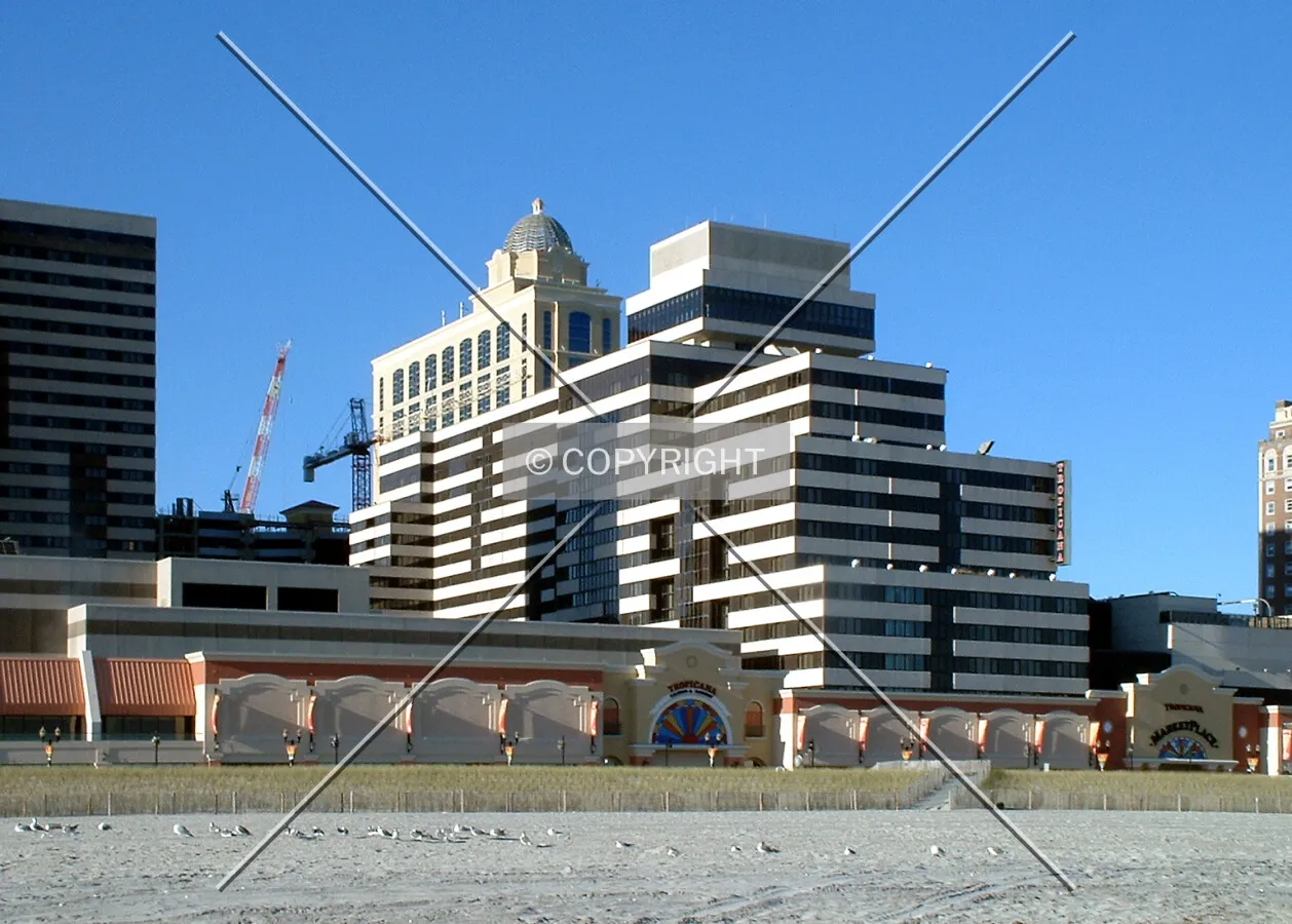 View from the south