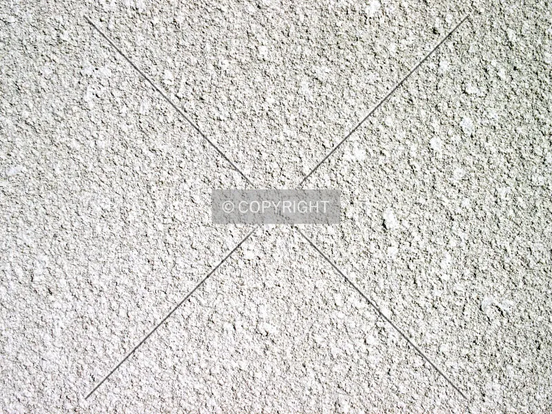 Photo 489-459-692