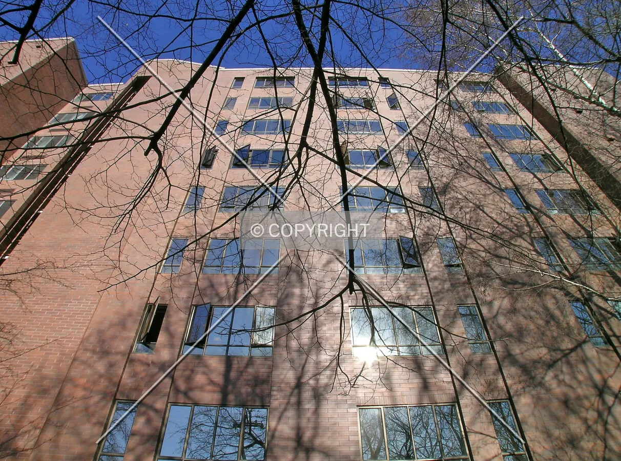 Looking up the southern facade