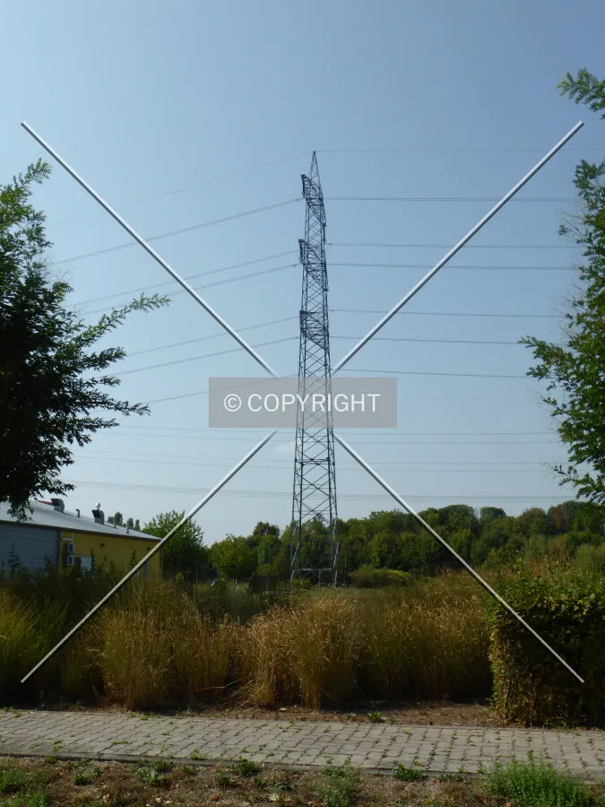 Photo 490-073-221