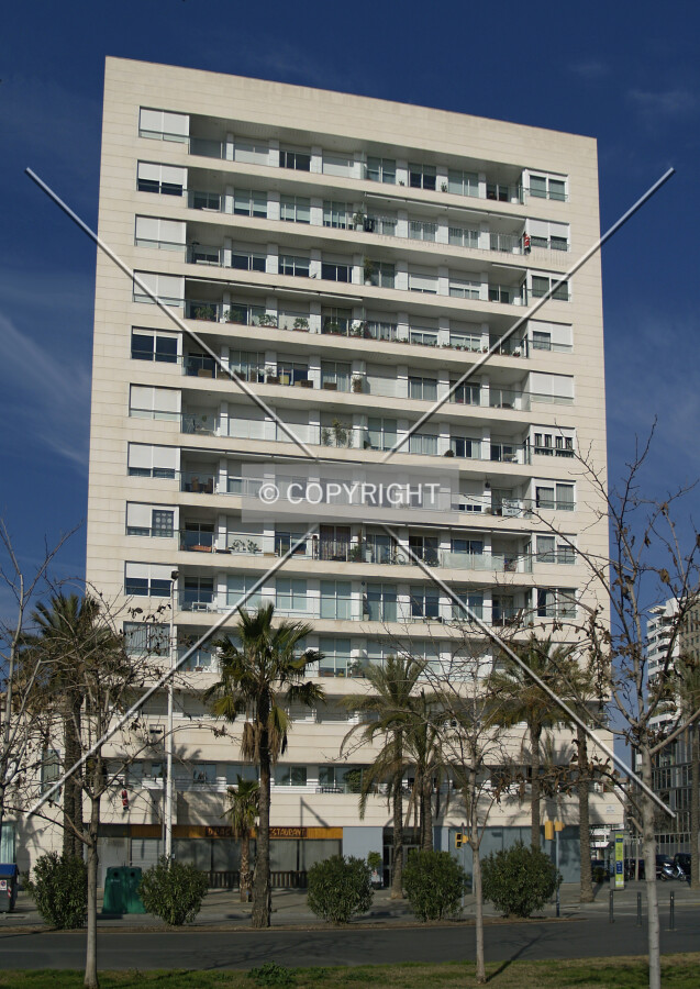 View from the east