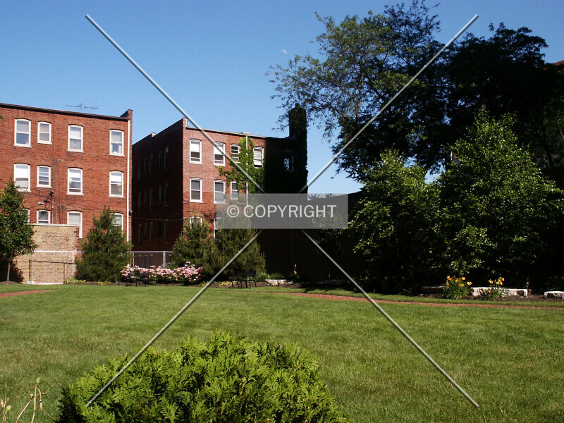 Photo 490-459-206