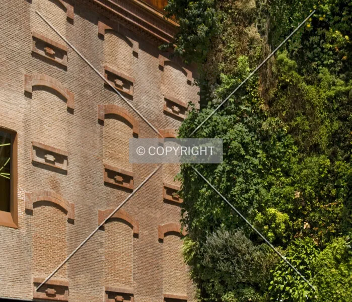 Photo 490-773-624