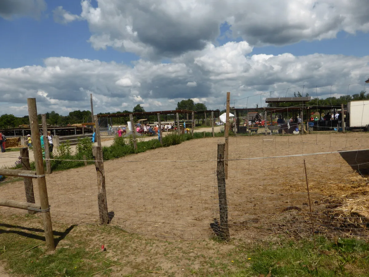 Photo 490-907-962
